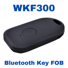 WKF300 - BLE Key Fob